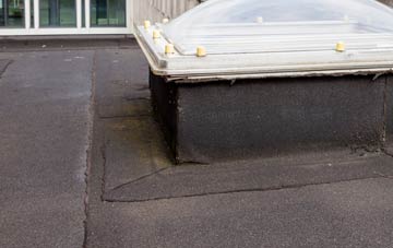 disadvantages of Draycot Fitz Payne flat roofs