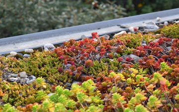 the cost of Draycot Fitz Payne green roof installation
