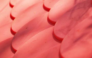 Draycot Fitz Payne plastic roof costs