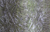 Draycot Fitz Payne fibreglass roof work